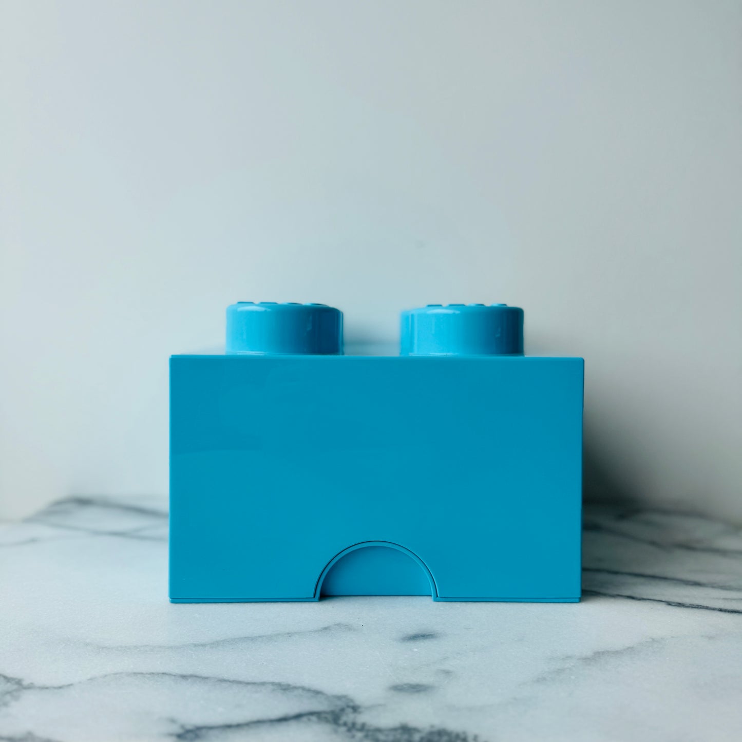 LEGO OPBERGBOX L HEMELBLAUW