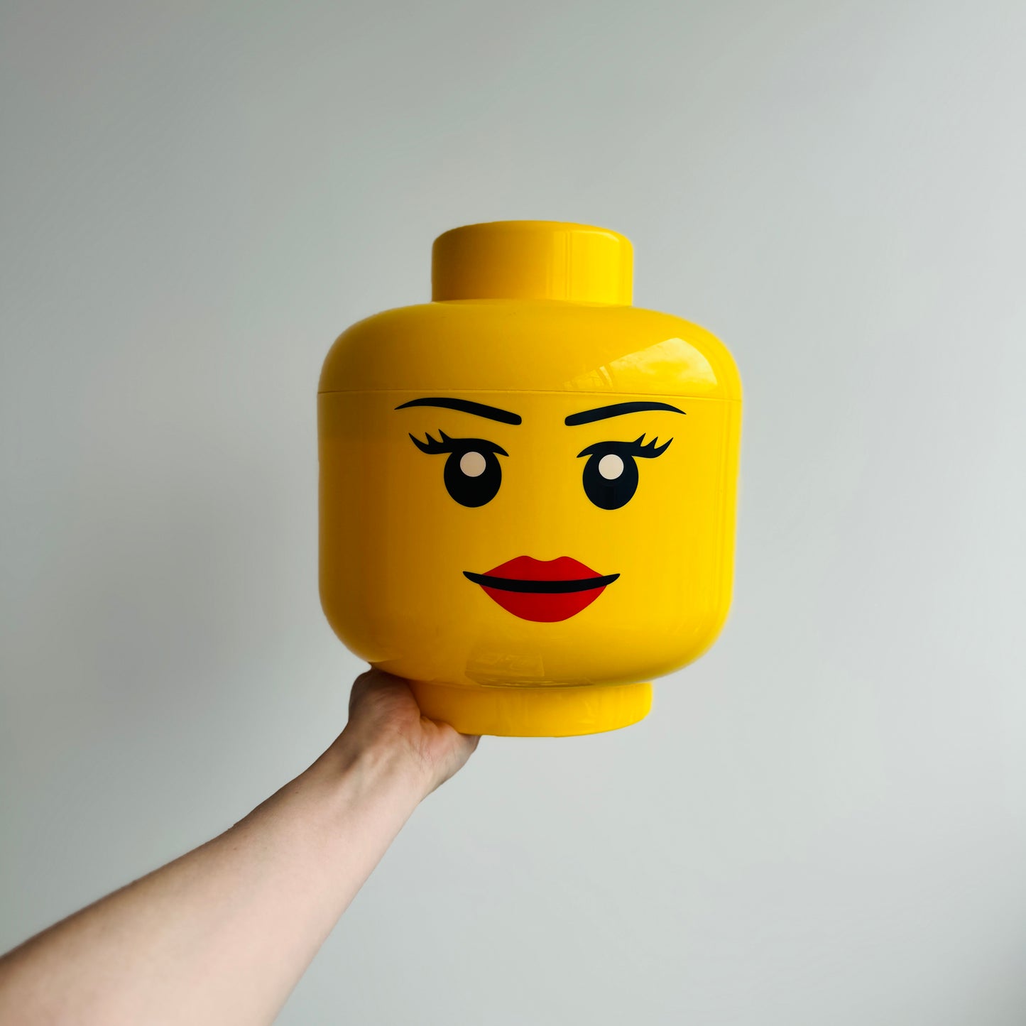 LEGO OPBERGHOOFD L