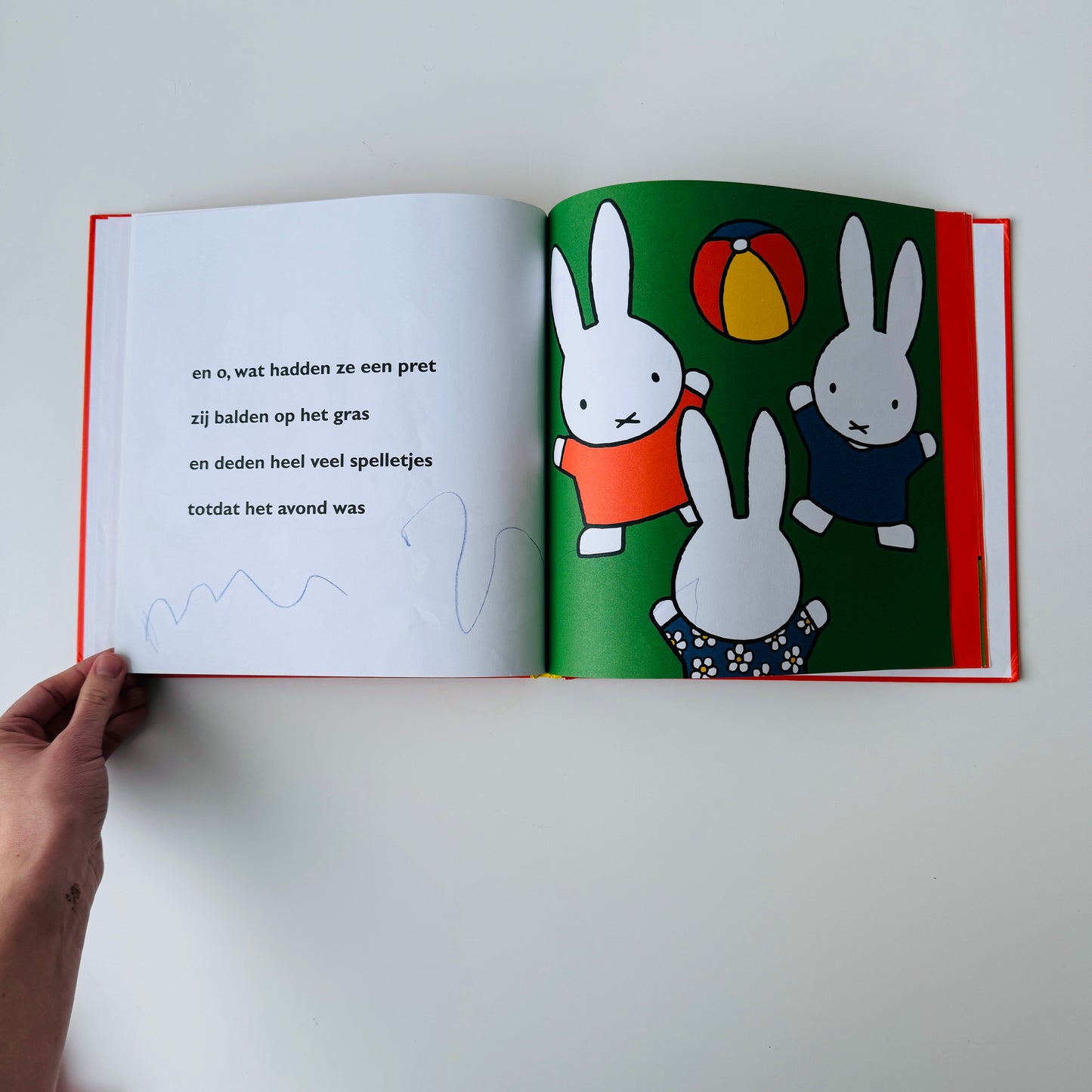 HET FEEST VAN NIJNTJE