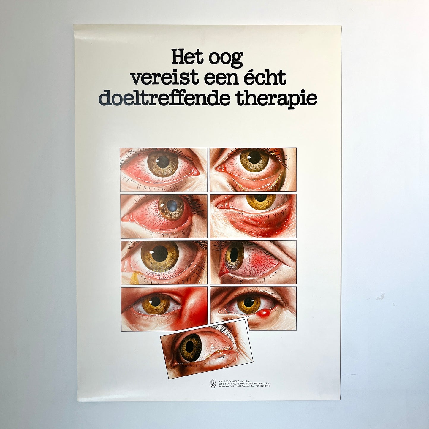 POSTER Het oog