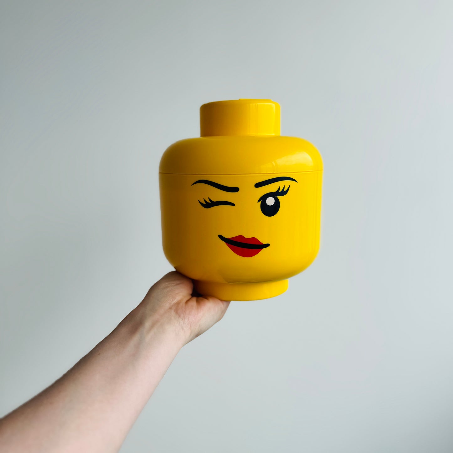 LEGO OPBERGHOOFD M
