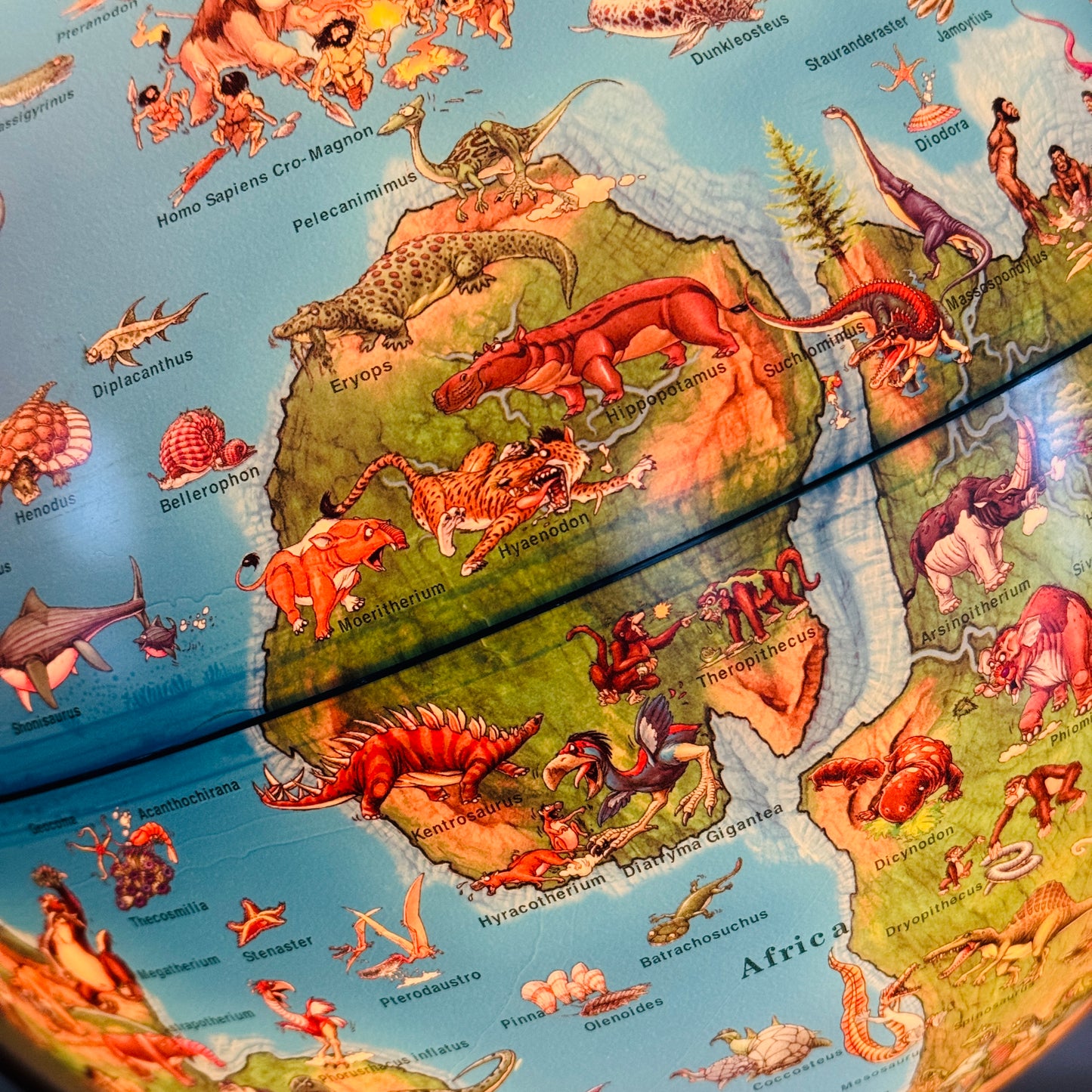 WERELDBOL STELLANOVA