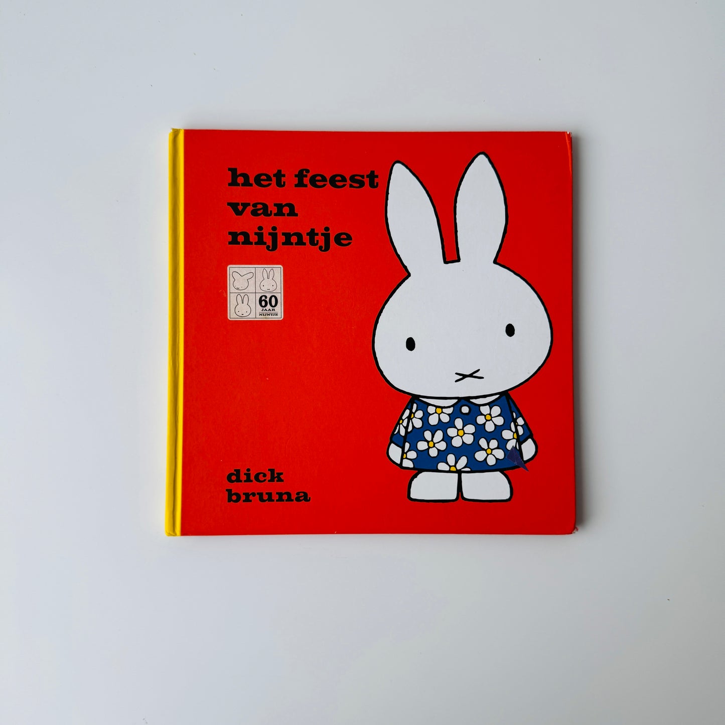 HET FEEST VAN NIJNTJE