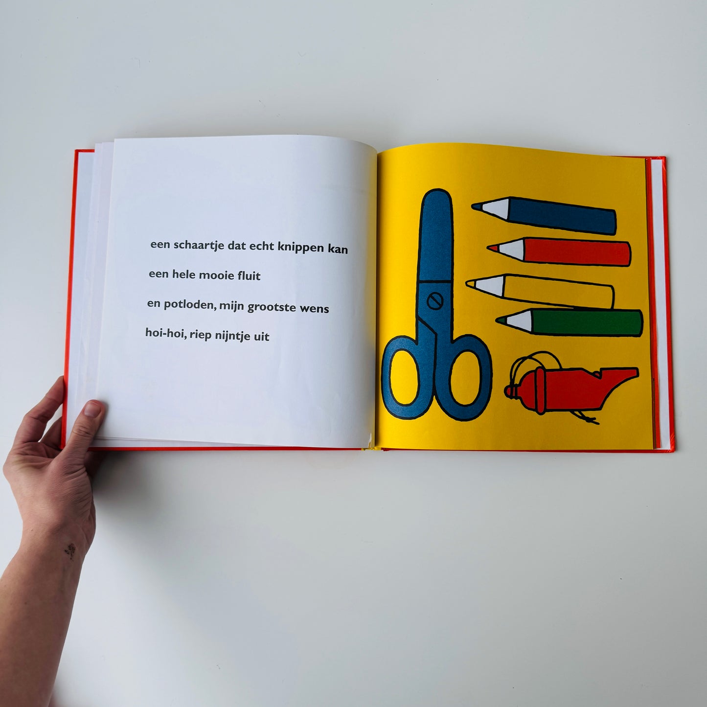 HET FEEST VAN NIJNTJE