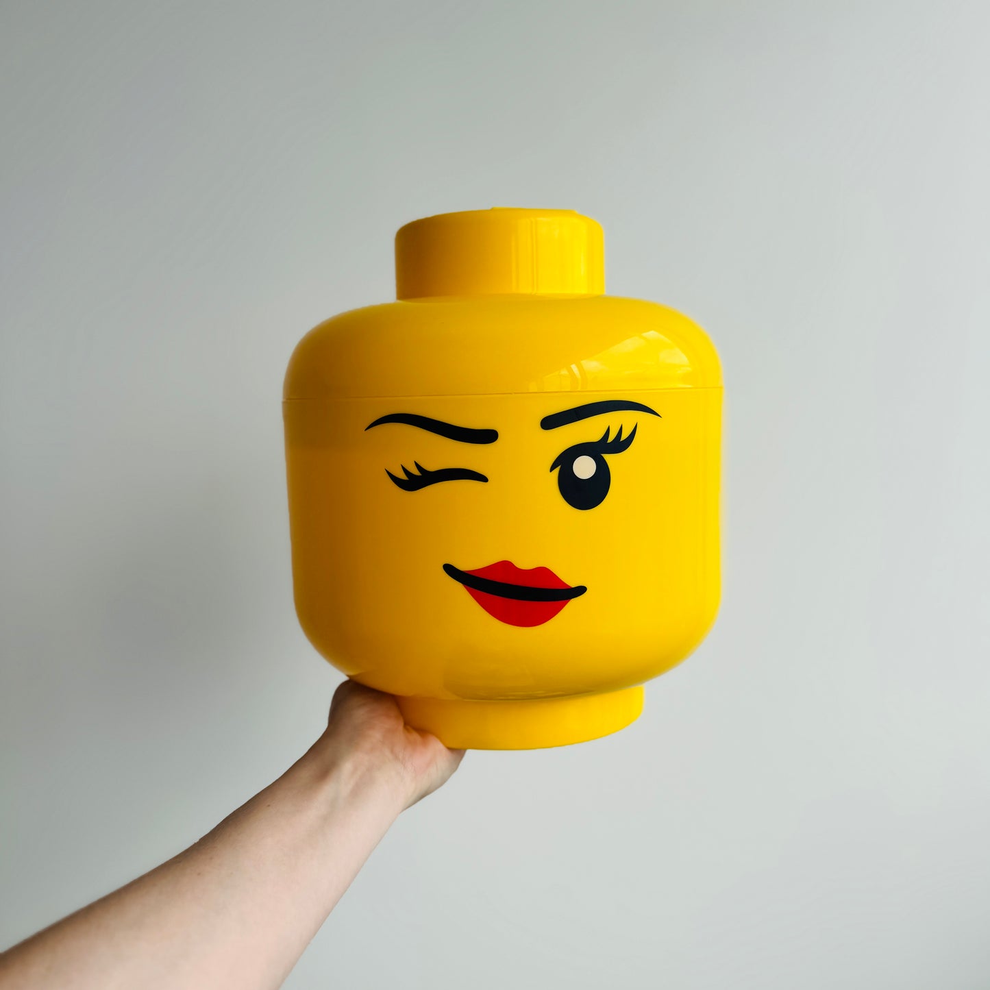 LEGO OPBERGHOOFD L