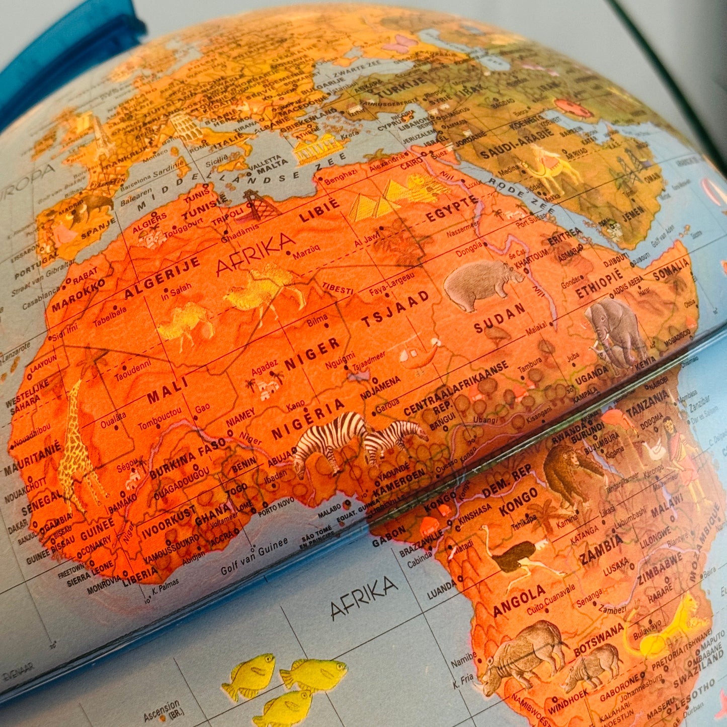 WERELDBOL DIEREN