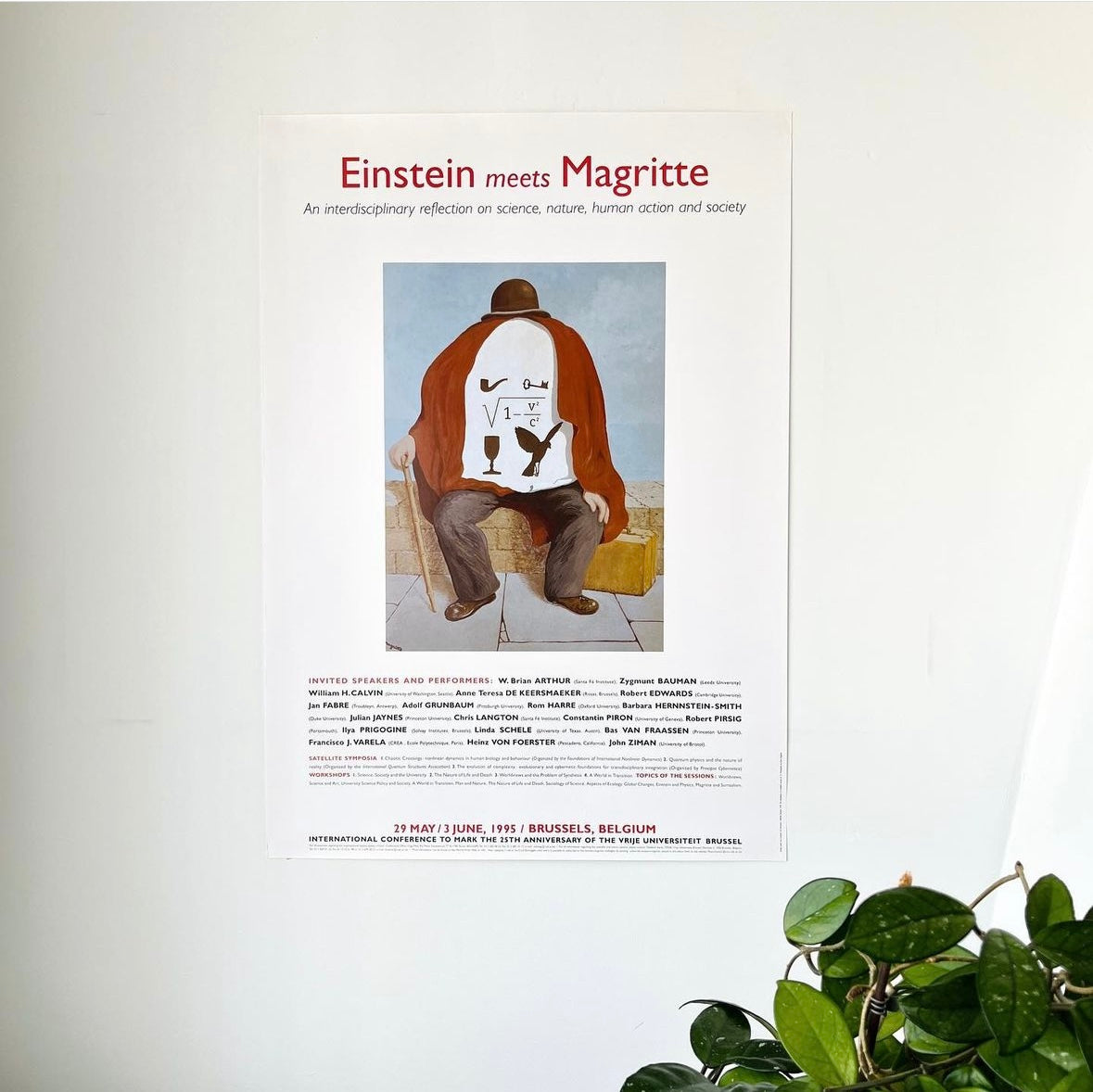 POSTER Einstein meets Magritte